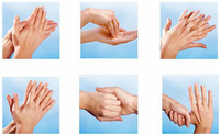 Hand-disinfection-steps-according-to-EN1500-doi101371-journalpone0111969g001